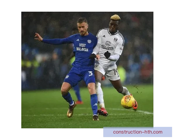 卡迪夫城俱乐部最新动态：球队备战新赛季目标明确全力冲击英冠积分榜